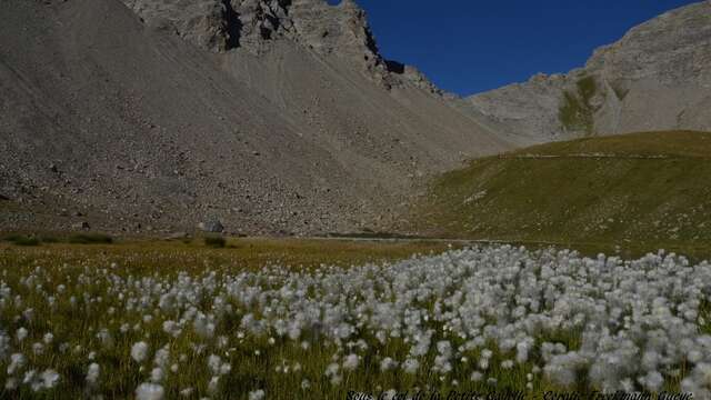 Retrouvance randonnée Haut Verdon Mercantour