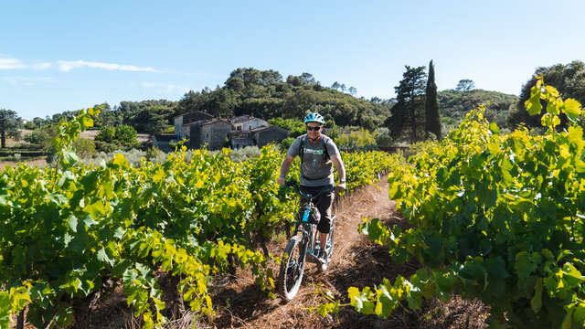 Balades en trottinette à la fête du vin nouveau