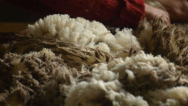 Bergerie La Coursaline