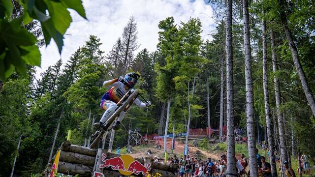 Descente (DHI)