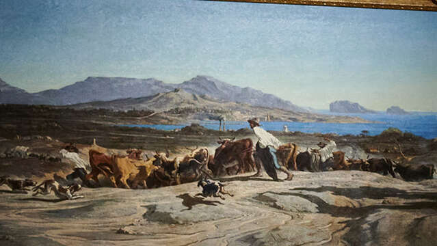 Visites éveil "Les sens en Provence"