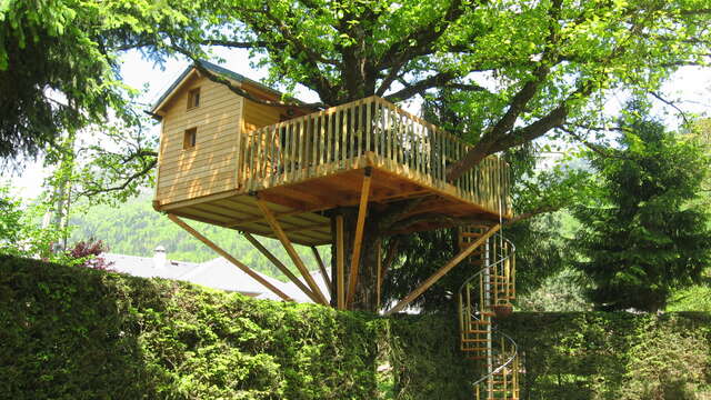Cyclamens' tree-house