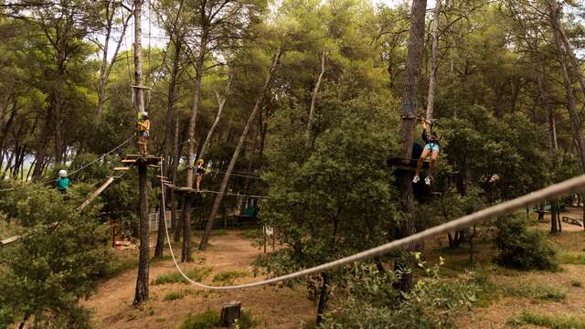 Giant zip lines