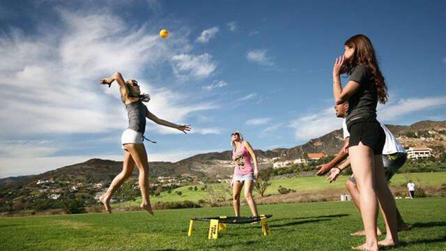 Spikeball