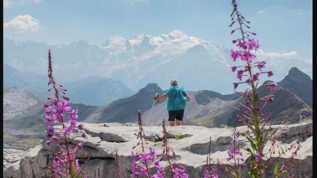 Itinéraire pédestre : rando'bus Désert de Platé