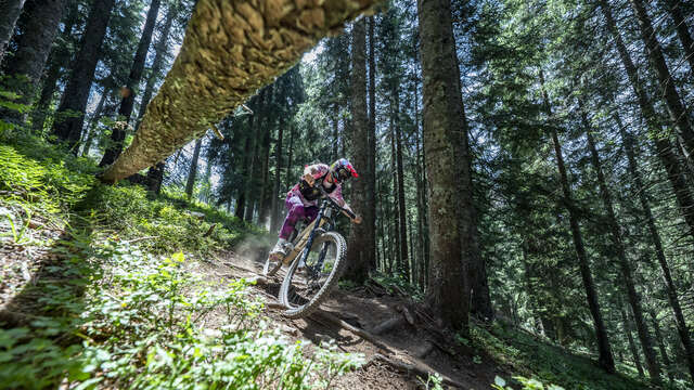Bike Park Les Carroz