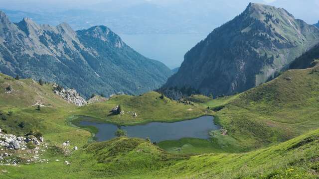 Office de tourisme Leman Mountains Explore