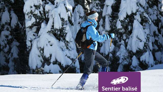 Tour de la Tête de Romme - Randonnée hivernale