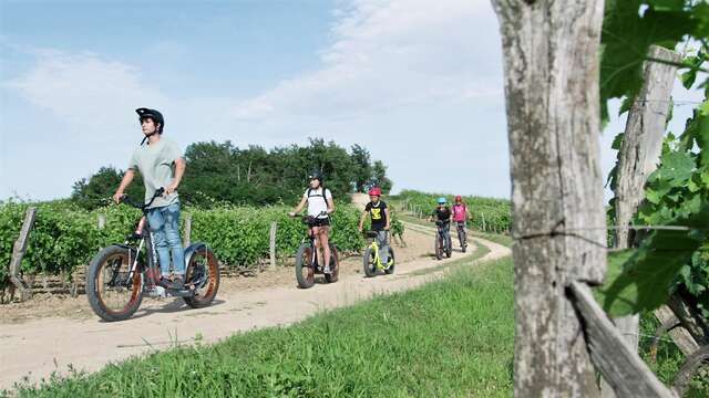 Bike Service activités