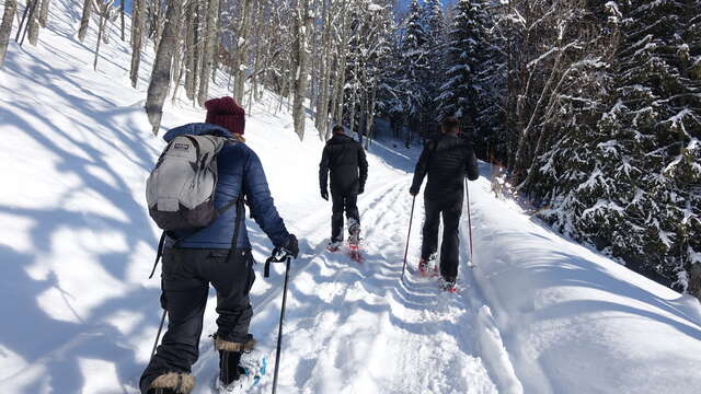 Boucle de Morsullaz - Randonnée hivernale
