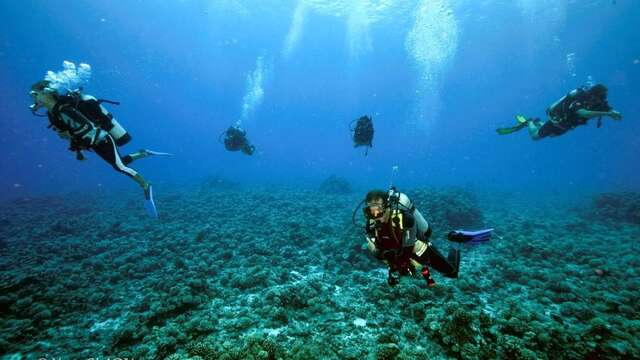 Tahaa Diving