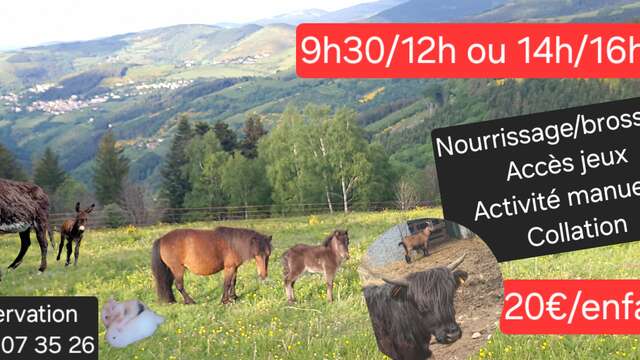 Demi-journée soigneur et découverte de la mini-ferme pédagogique