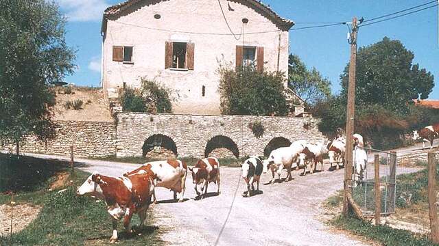 Camping à la ferme du Bas Chalus Le Moulin