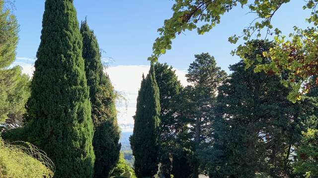 Conférence balade «De la fleur de la botanique à l’art»