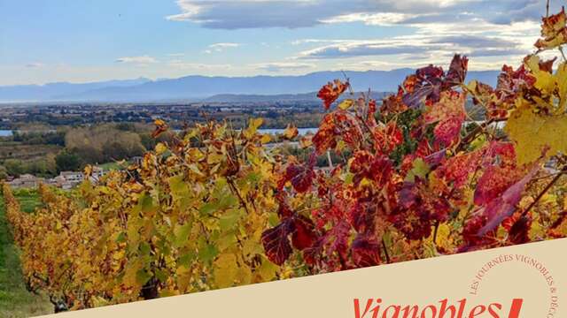 Atelier d’initiation et de découverte des vins au Vineum