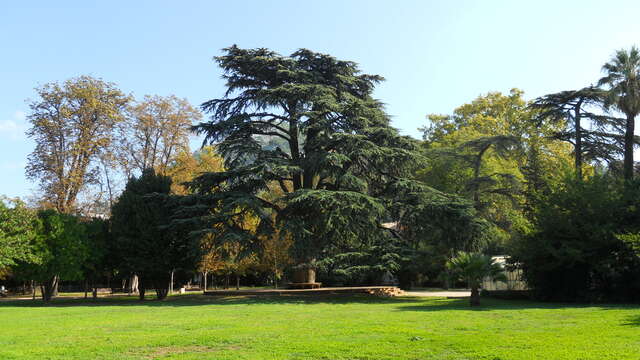 Jardin départemental du Las