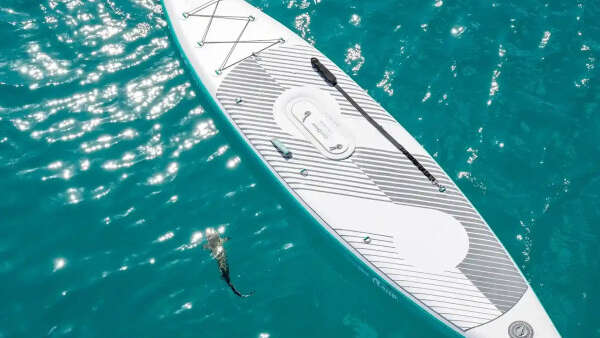 E-paddle