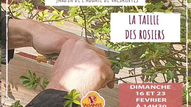 Conférence sur la taille des rosiers