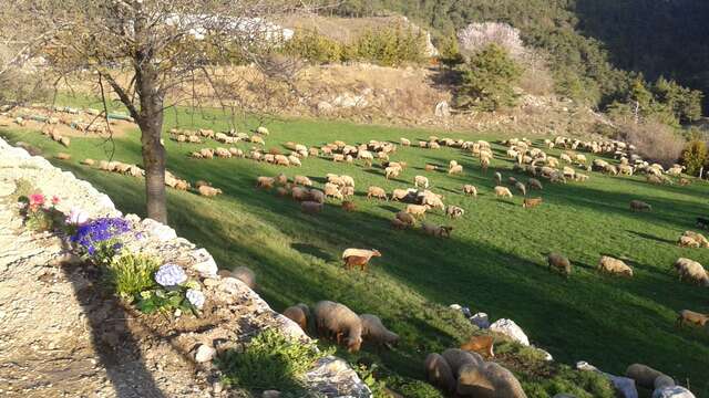 Ferme de séjour Rebuffel