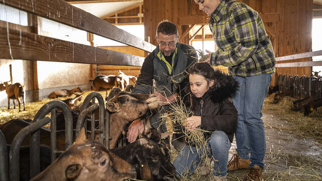 Accueil à la Chèvrerie de Vesonne