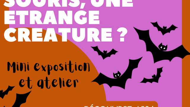 Exposition : La chauve-souris, une étrange créature !