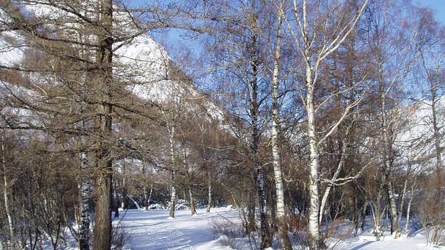 Nordique : Ski de fond - biathlon - raquettes avec l'ESF