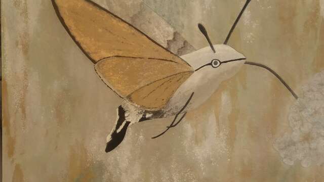 Atelier Les Cinq Terres