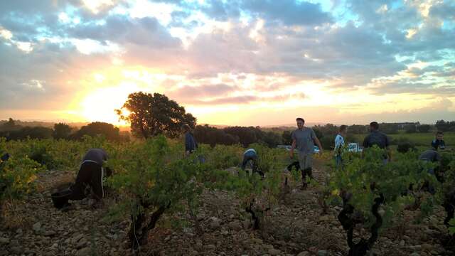 Visite et introduction à la biodynamie au Domaine Duseigneur