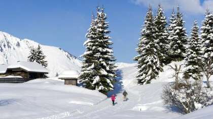 Les Accompagnateurs en montagne