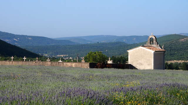 Le chemin de Bouiron