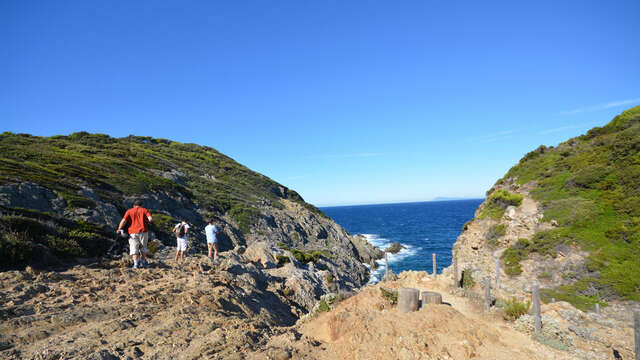 Sentier du littoral – « Balade des fruits d’or » sur l’île de Porquerolles