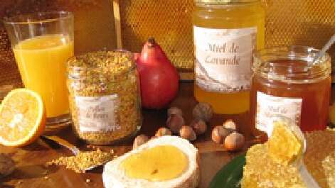 Honey "Aux Rayons d'Or"