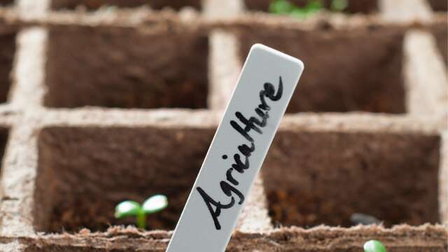 Happy Hour - Des étiquettes pour vos plantes