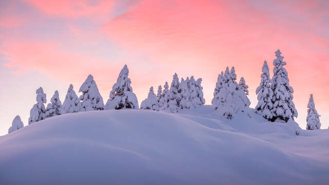 Le sentier du renard