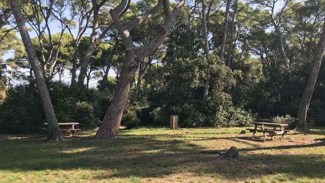 Espace Naturel du Mont Salva