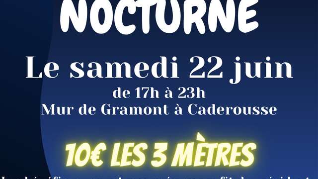 Vide-grenier nocturne des Cheveux Blancs