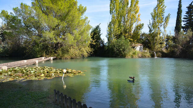 Préco - 49m2 - 4 personnes