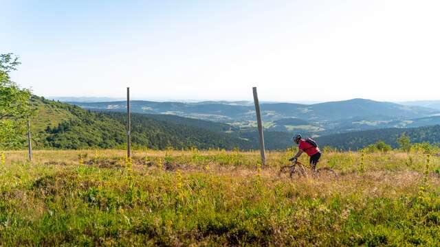 Étape 9 - Grande traversée - Chalmazel-Jeansagnière > Col du Béal > Col des Supeyres