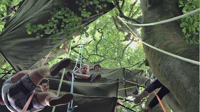 Nuit en bivouac avec l'Arbre voyageur