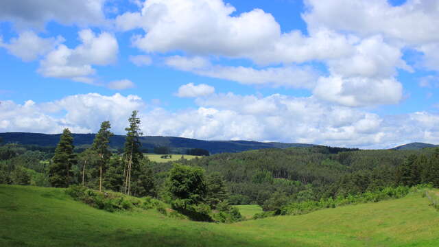 Parcours 33 - Tour d'Icio Mago