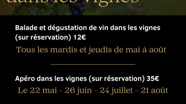 Wijngaardwandelingen en proeverijen - Domaine Le Clot de Bénou