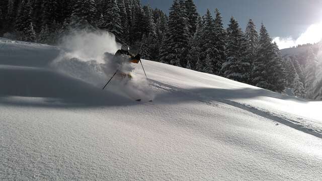 Ski hors piste avec un guide