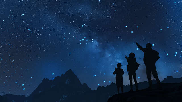 Cani raquette nocturne