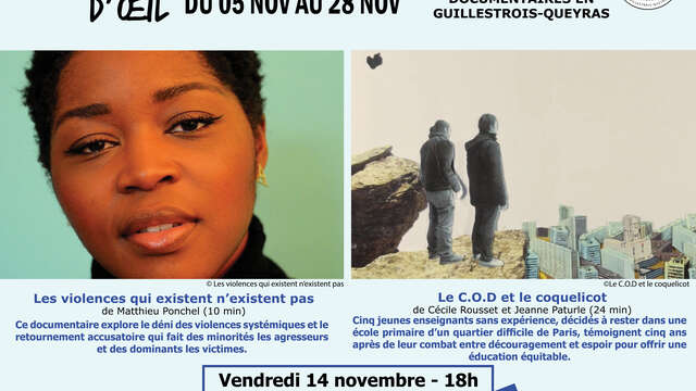 Clin d'Oeil  - Les violences qui existent n'existent pas - Le C.O.D et le coquelicot