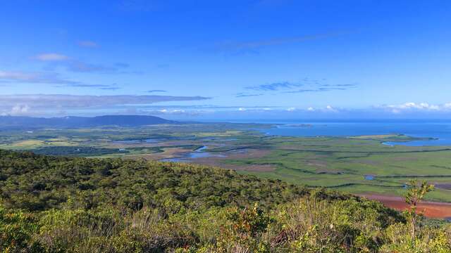 Sentier pédestre libre du Koniambo