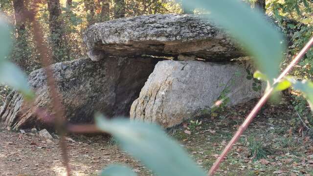 Mégalithes de Septfonds