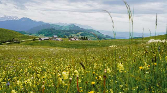 Sentier de randonnée - Le Tour de Miribel depuis Plaine Joux