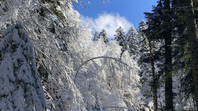 Col du Coq depuis St Hugues de Chartreuse - Itinéraire hiver