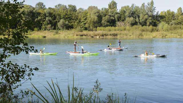 Kayak, Canoë & Stand-up Paddle on the wild Rhône