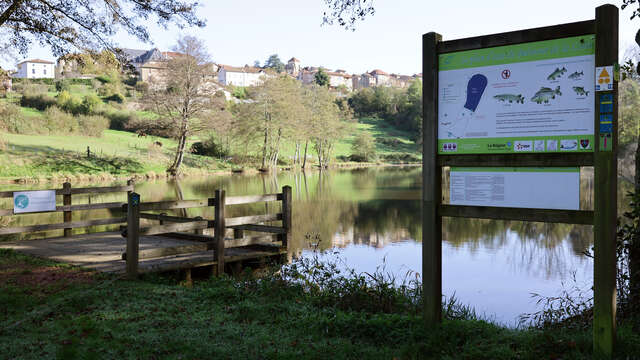 Itinéraire VTT : circuit 19 bleu, base Belmont-de-la-Loire